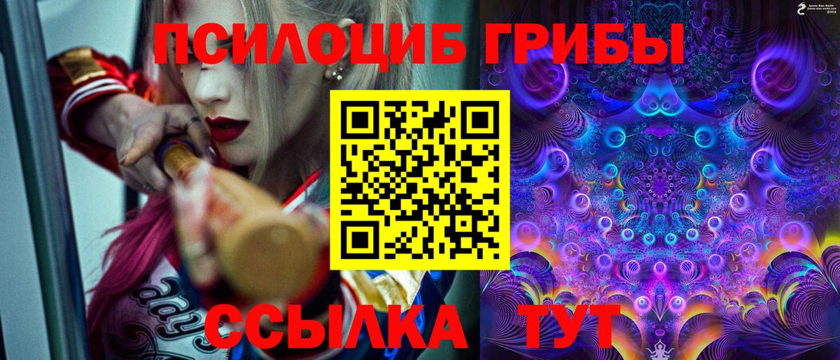 Псилоцибиновые грибы Cubensis  Вход с VPN  Лесной 